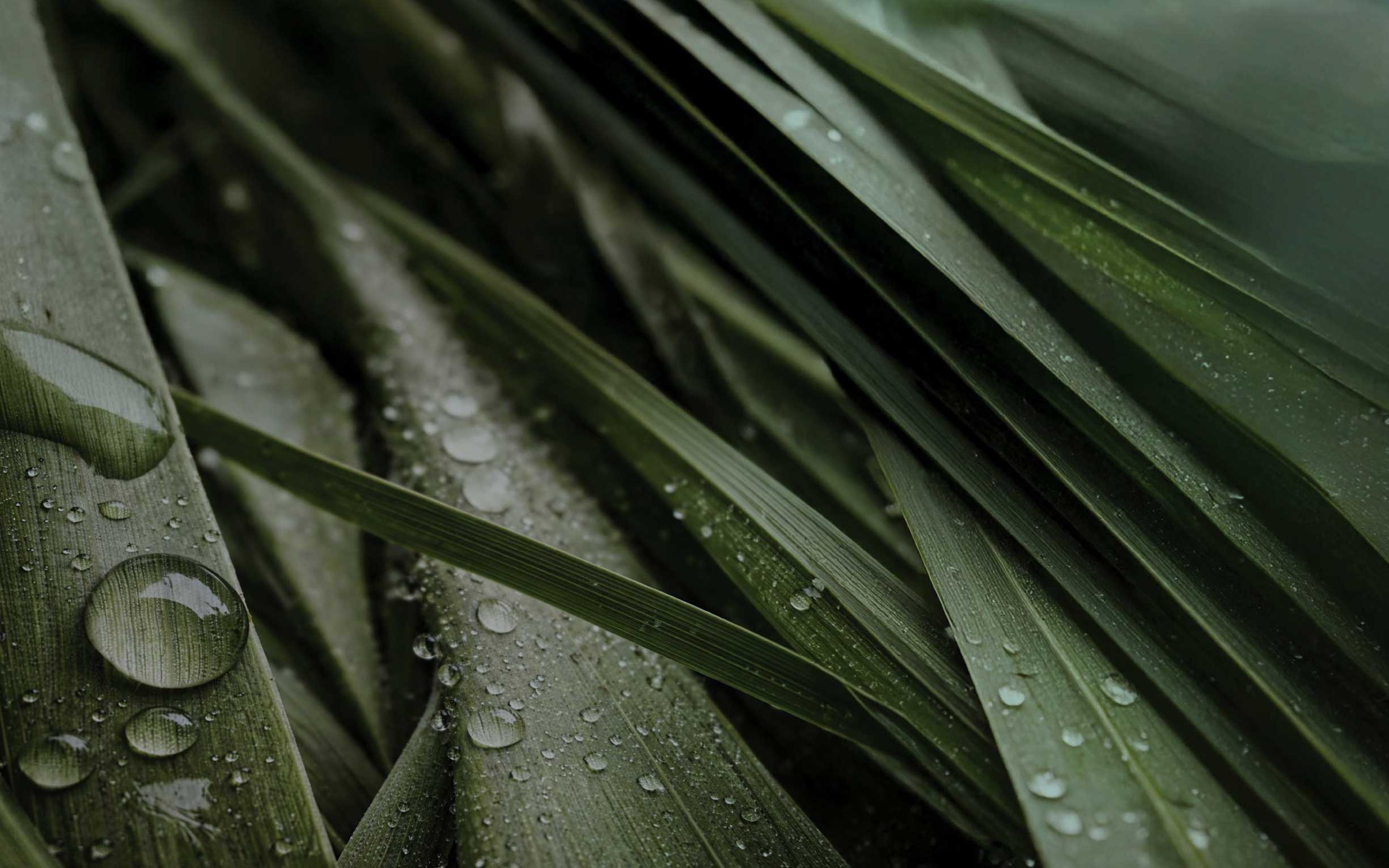 Sobha-Sanctuary-Brochure